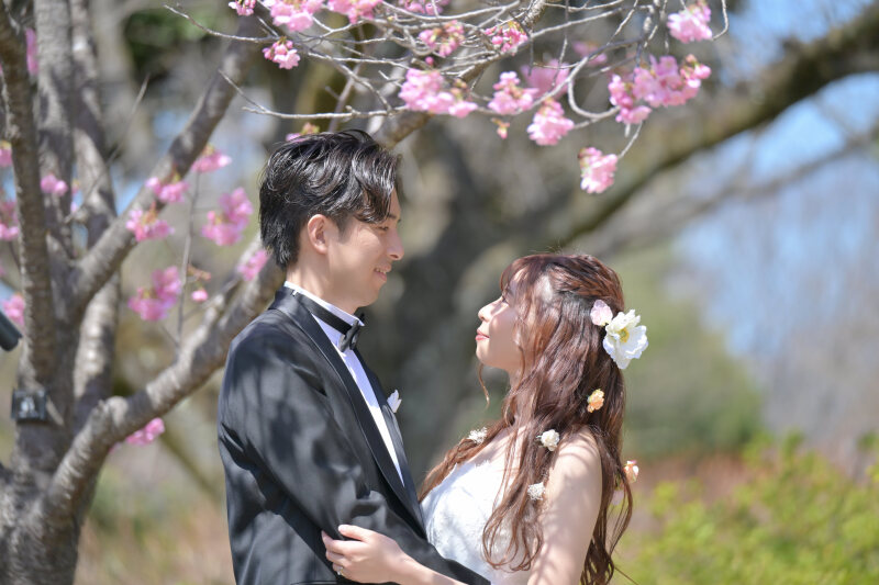 STUDIO RADIUS_動画を作れる