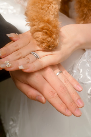 ペットとの撮影