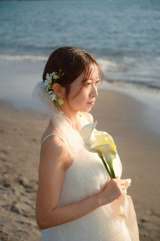 STUDIO RADIUS_逗子葉山 一色海岸 (海&times;林)