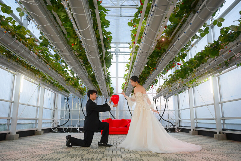 次世代型いちご農園&times;RADIUS 【-デイ＆ナイト-フォトプラン】150枚/ヘアメイク付 