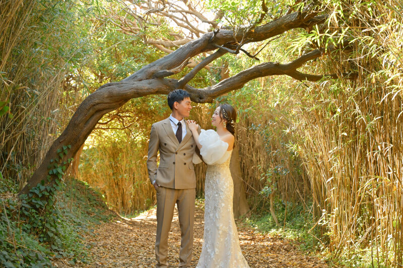 撮影日指定【直前割プラン】3/11,16,18,22,23,26,27 フォト(30枚以上) /ムービー /ドローン 