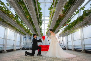 次世代型いちご農園&times;RADIUS 【-デイ-フォトプラン】100枚/ヘアメイク付 