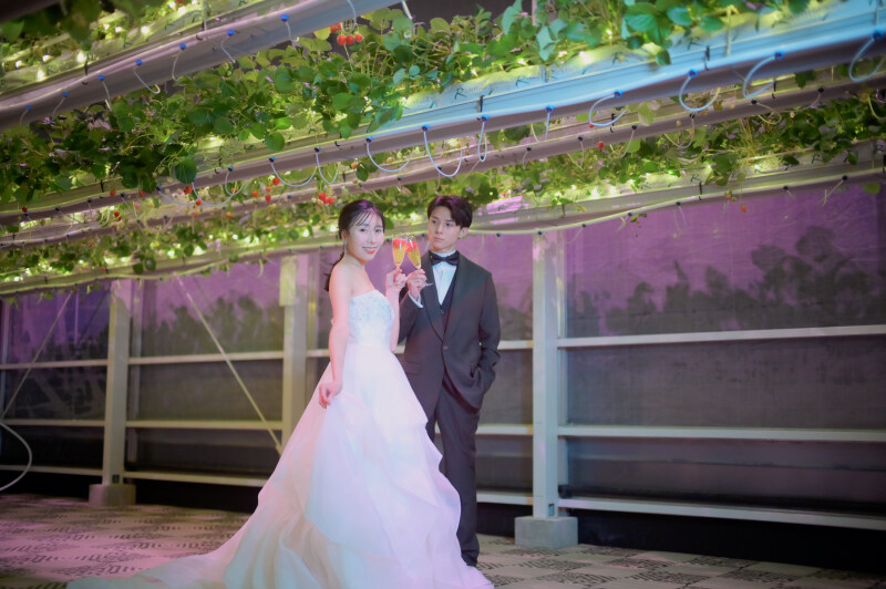 次世代型いちご農園&times;RADIUS 【-デイ＆ナイト-フォトプラン】150枚/ヘアメイク付 