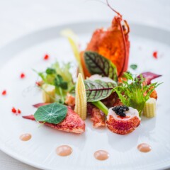 コース料理 10品目