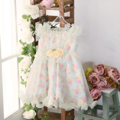 2-30　ブルー花柄