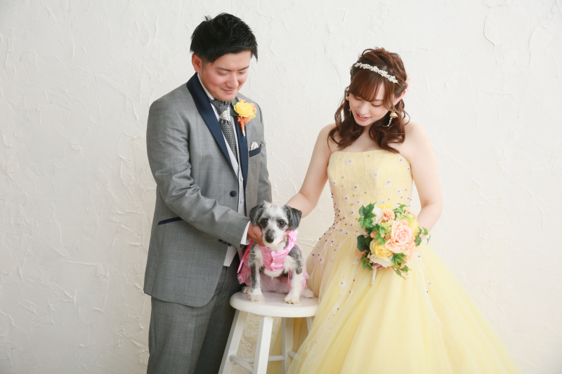 【ペットと一緒に撮影ご希望の方】大好きな愛犬とのフォトウエディング♪ アルバム・全データ/使用データ付き♪