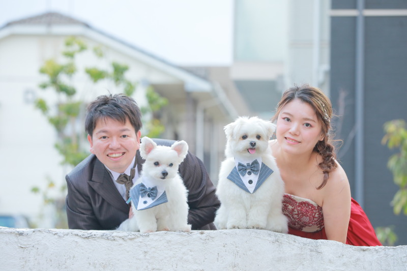【ペットと一緒に撮影ご希望の方】大好きな愛犬とのフォトウエディング♪ アルバム・全データ/使用データ付き♪