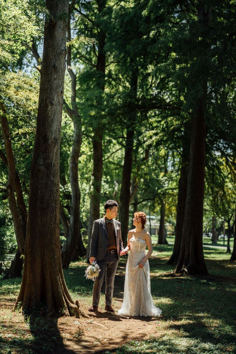 木々に囲まれるカット