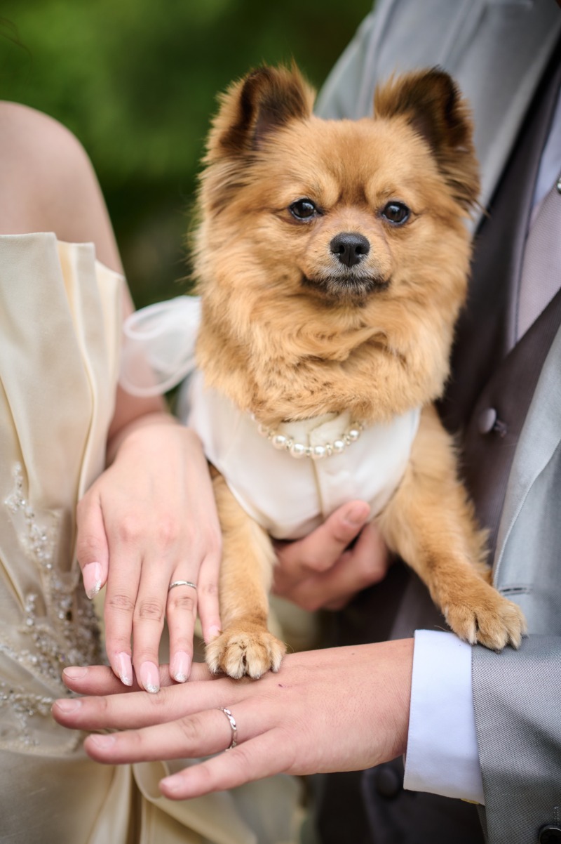 【洋装ロケーション】ペットと一緒に撮影♪≪全データ付き≫【オープン記念10月末撮影まで】