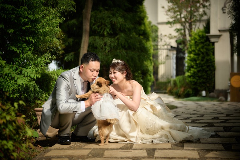 【洋装ロケーション】ペットと一緒に撮影♪≪全データ付き≫【オープン記念10月末撮影まで】