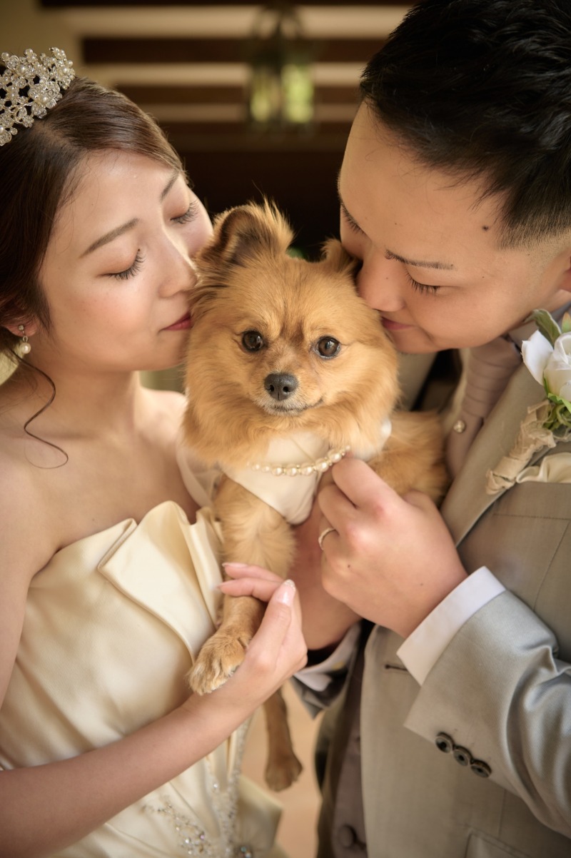 【洋装ロケーション】ペットと一緒に撮影♪≪全データ付き≫【オープン記念10月末撮影まで】