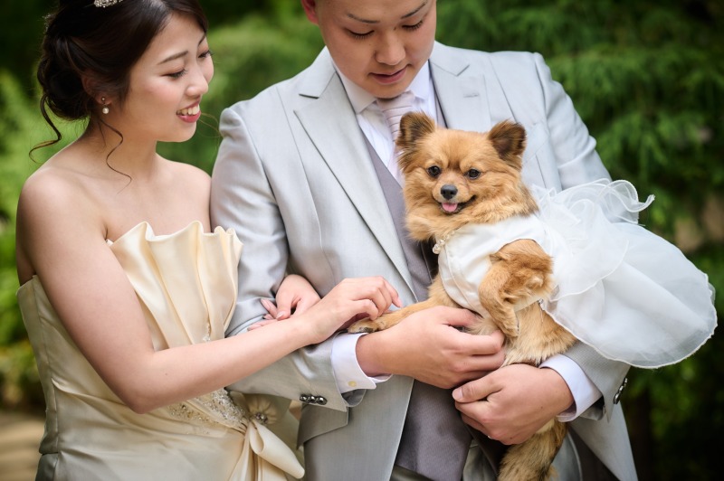 【洋装ロケーション】ペットと一緒に撮影♪≪全データ付き≫【オープン記念10月末撮影まで】