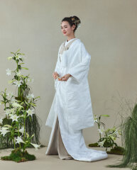 唐織　七宝桐文