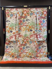 白春秋桜花地紋