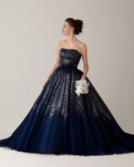 ネイビー・スプランドゥール