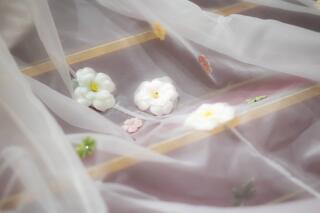 神田明神　明神会館_人気カット