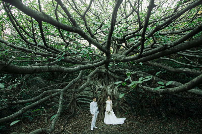 幻想的な自然をバックに