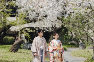 春の木漏れ日のなか、桜とともに
