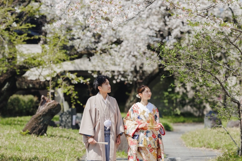春の木漏れ日のなか、桜とともに