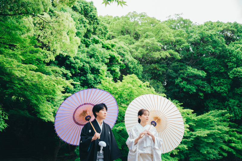 太陽と緑
