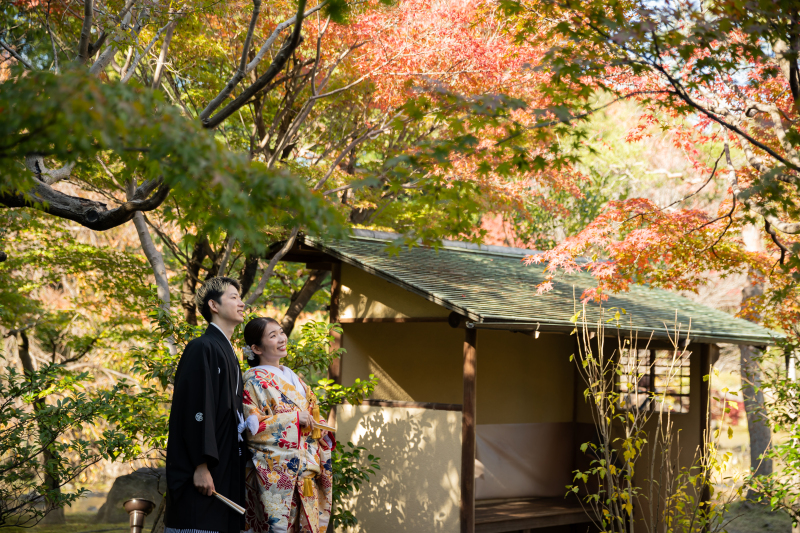 秋色に染まる紅葉撮影
