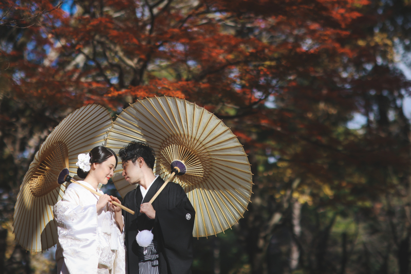 《紅葉×海》名古屋市周辺22箇所から選べる! 和装1着+洋装1着ロケーションプラン
