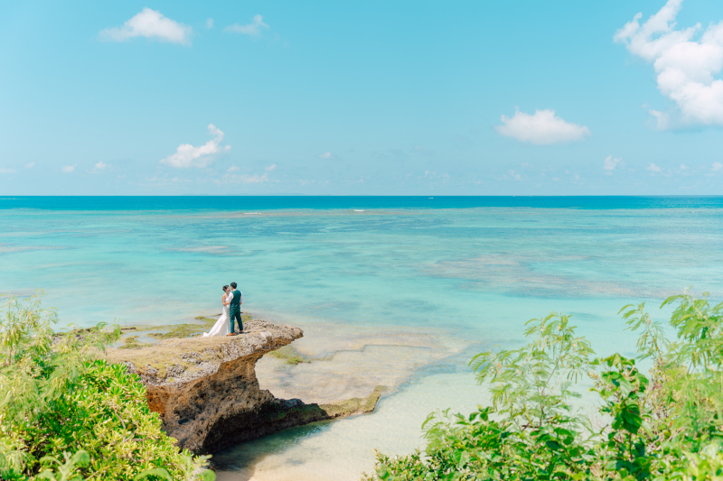 沖縄の緑と海と