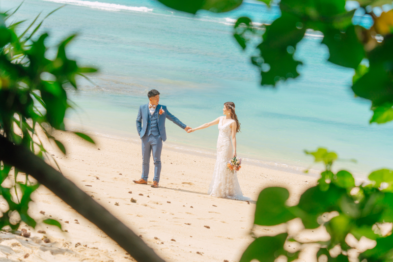 木々の隙間から