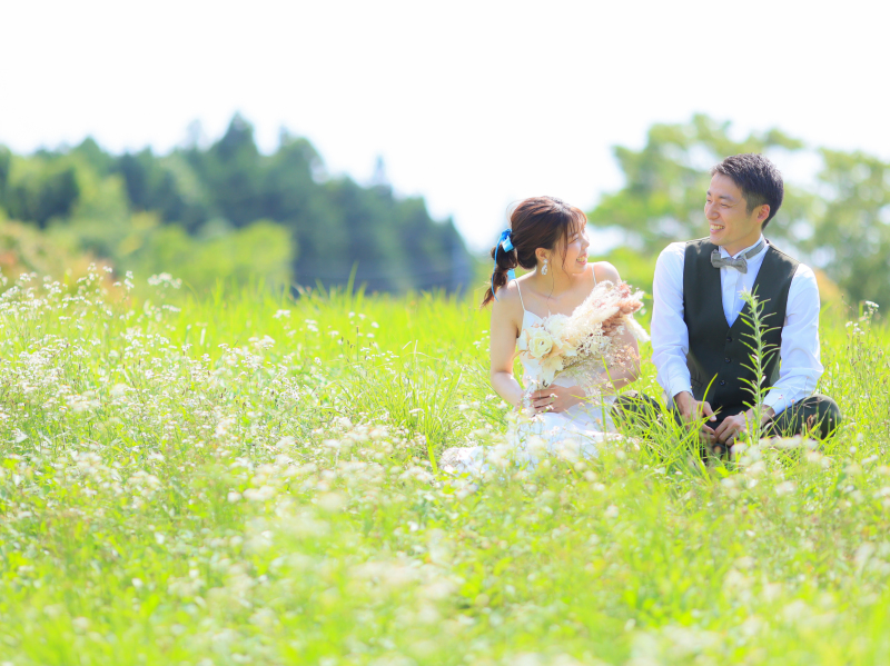 偶然咲いていた白いお花