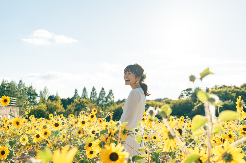 大好きな向日葵