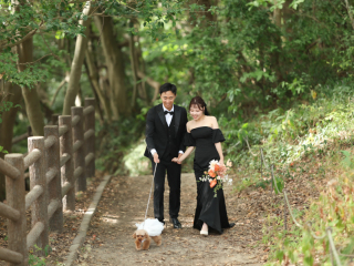 わんちゃん撮影