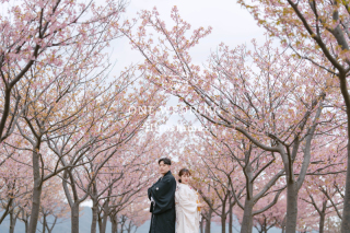 オンライン相談