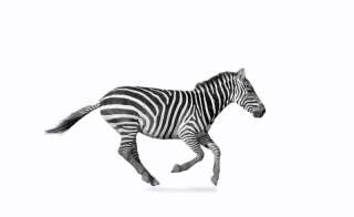 無料20Pアルバム2冊追加