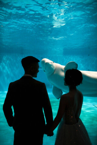 いつも通りを特別に。