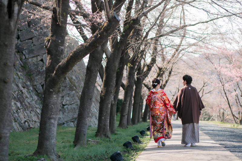 桜並木を…