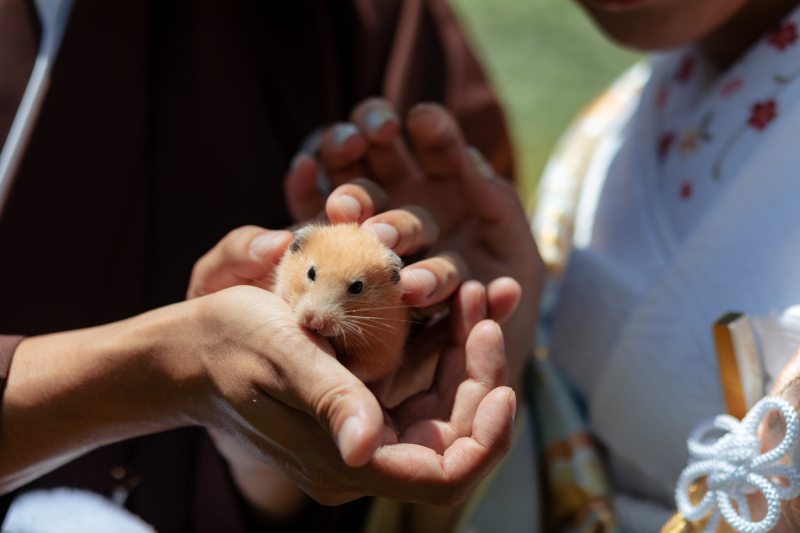 おふたりの大切な家族も一緒に♡