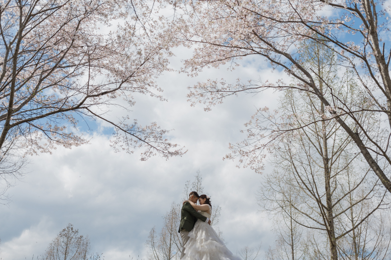 青空と桜