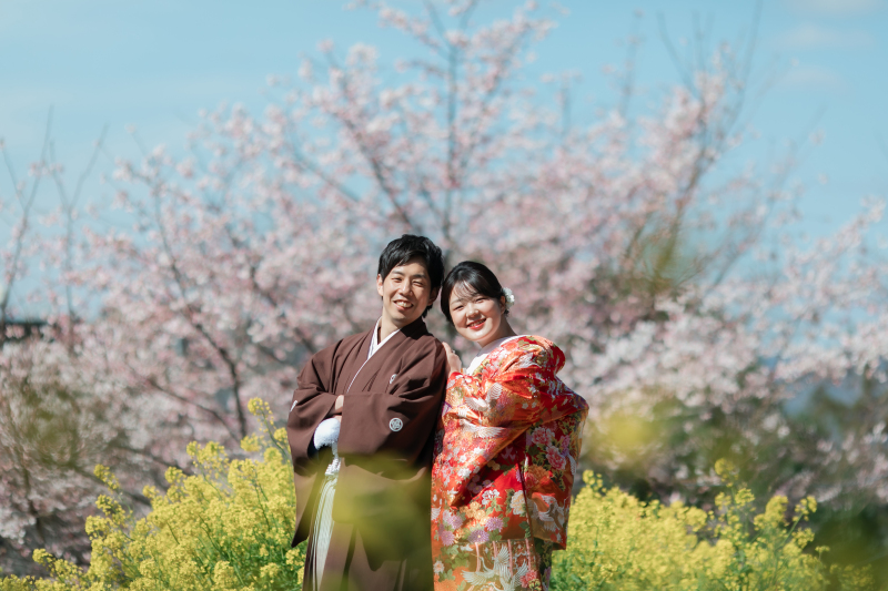 菜の花×桜ロケーション