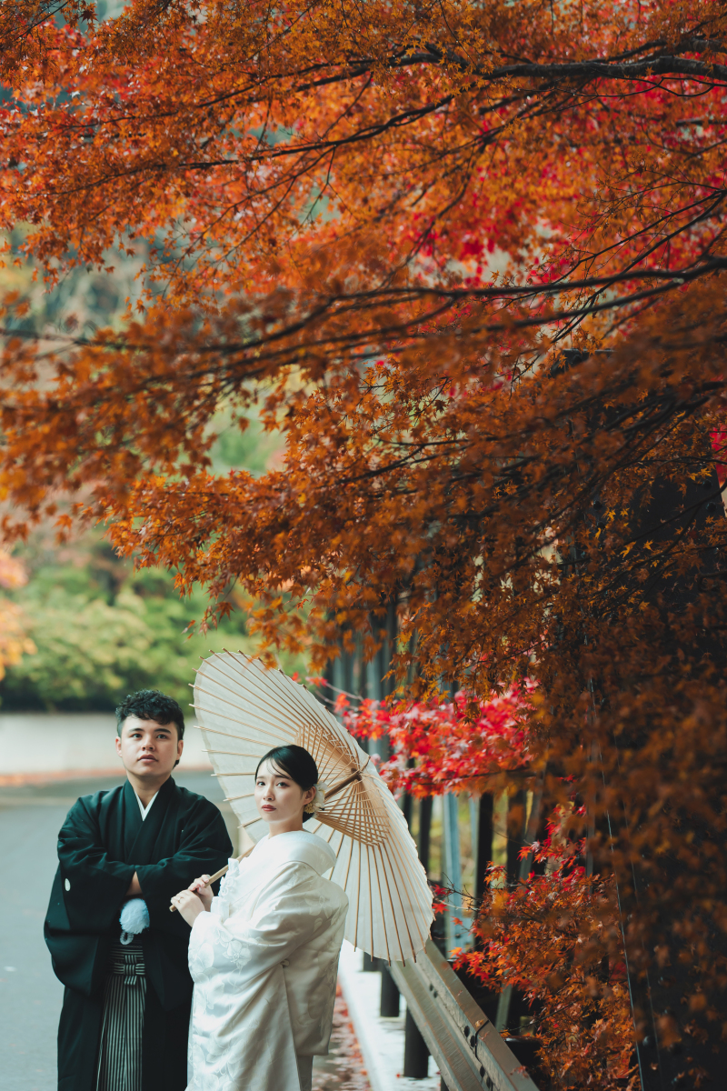 Fall Foliage Location