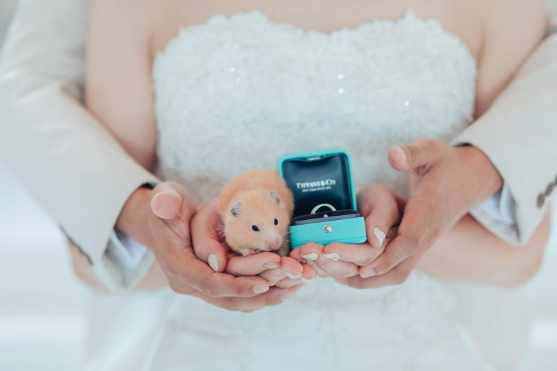 またまた登場＾＾