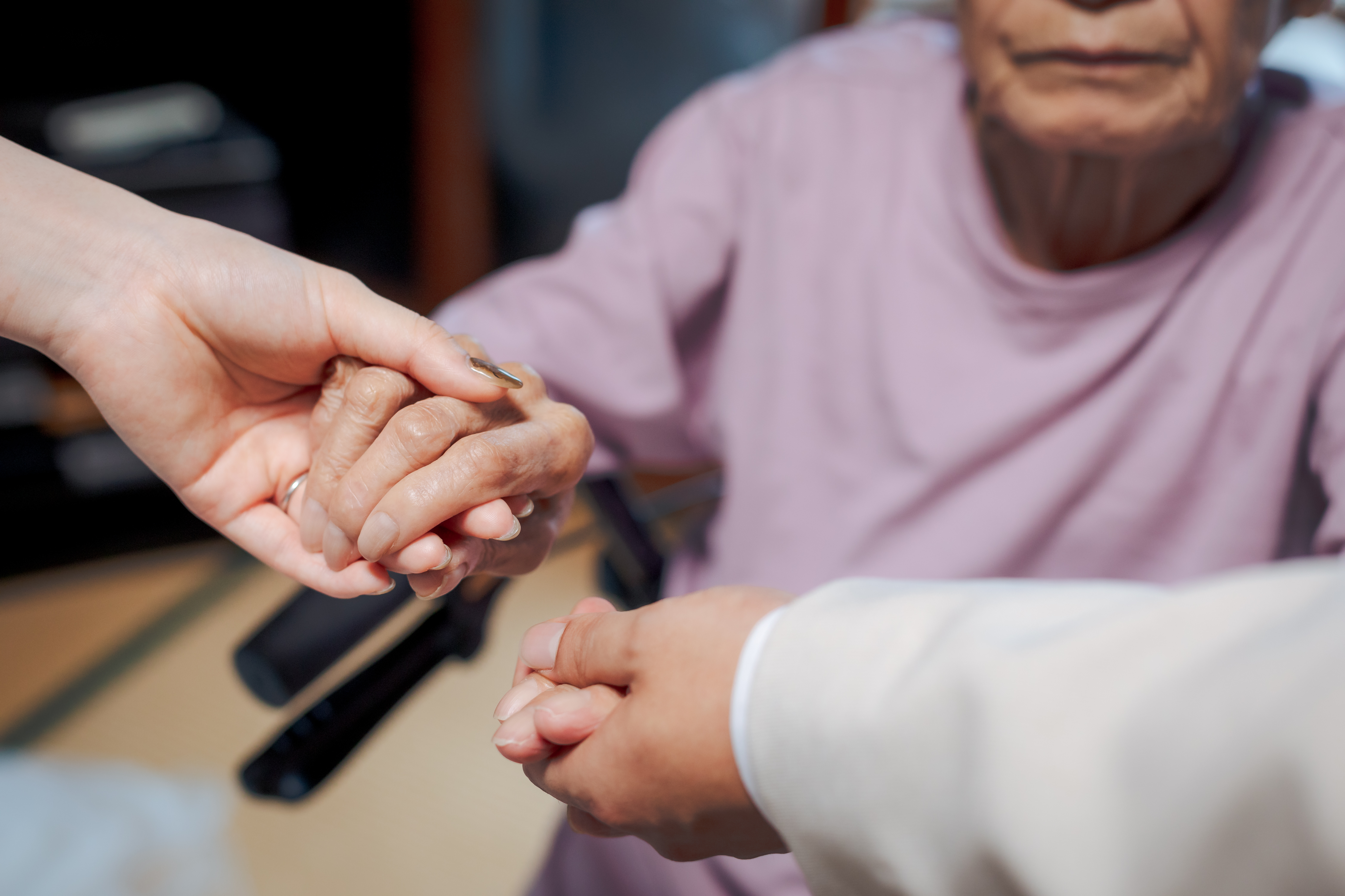 Point1 多彩な撮影シーン