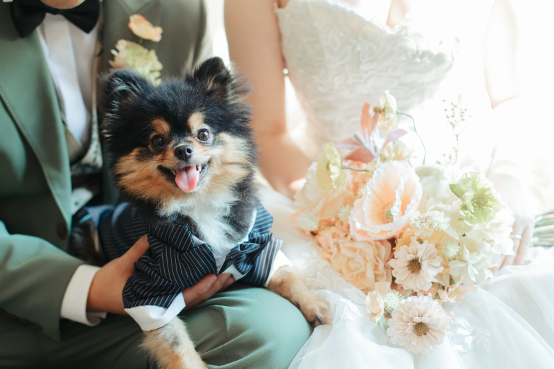 【11月30日までの限定◆すべて込みで269,060円！】チャペルスタジオ＋会食フォト！＜6名様分のお食事＋データ50カット付＞