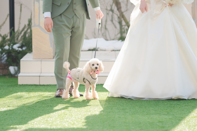 【愛犬と一緒に撮影できる】 ペットフォトプラン★写真データ100カット付★