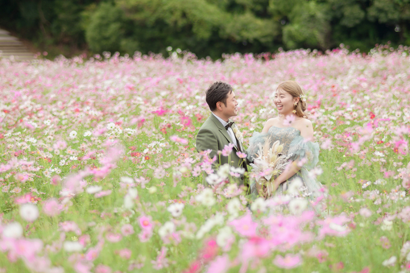 満開のコスモスとカラードレス