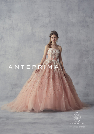 ANTEPRIMA【ANT-0225】