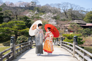 桜満開の玄宮園で和装前撮り