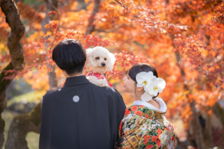 紅葉が彩る玄宮園でのロケーションフォト