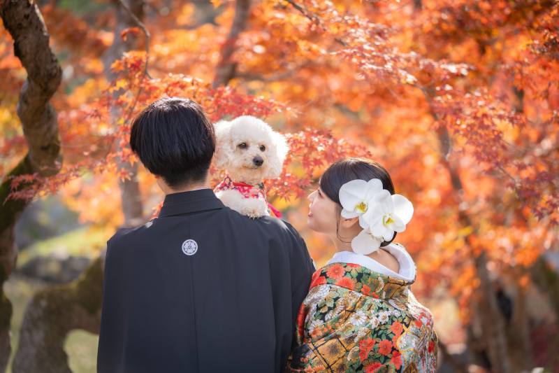 紅葉が彩る玄宮園でのロケーションフォト
