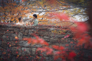 ily_°˖✧厳選ピックアップフォト✧˖°