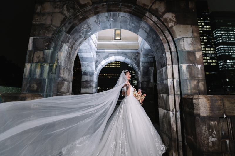 ナイトフォトがスタート!!